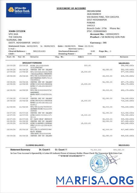Printable Indian bank statement of account word example